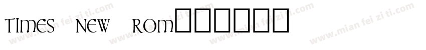 times new rom字体转换